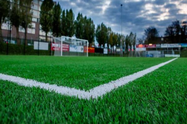 Tüm Hizmetlerimiz Saer Trafik / Group