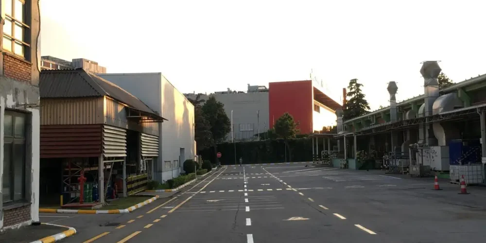 Hizmetlerimiz Saer Trafik / Group